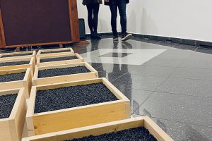 6 METARA_6465 6 METARA