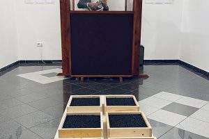 6 METARA_6483 6 METARA