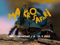 MAKROSAFARI FB event cover