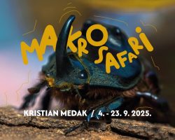 MAKROSAFARI FB event cover